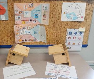 Inclusion Collège Rouget de L'Isle | DSDEN39 | Avril 2025