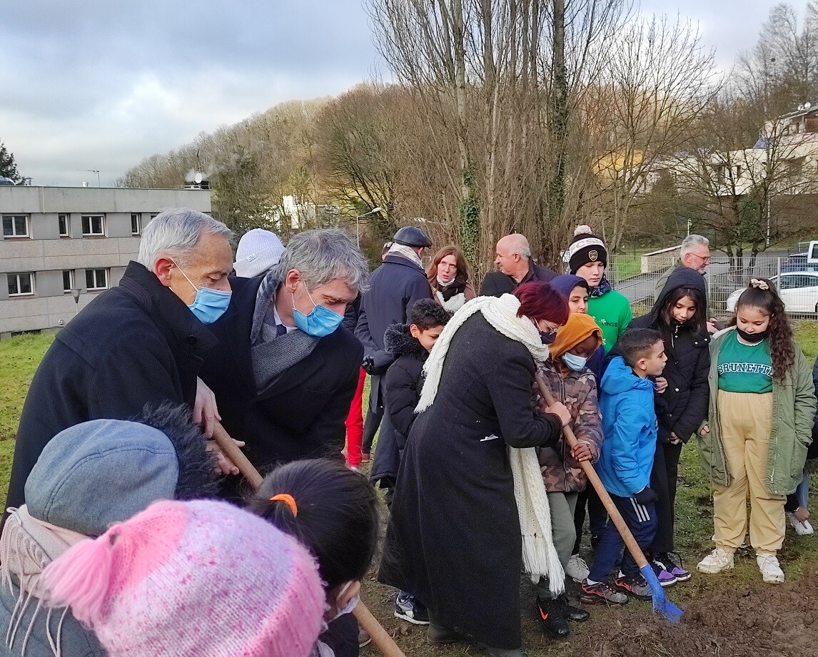 Laïcité 2021 Arbre Clairs Soleils