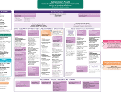 Organigramme académique