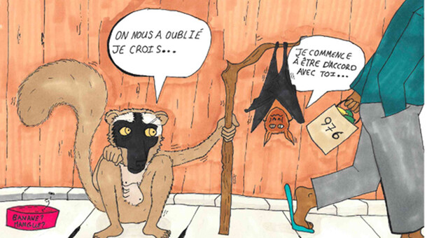 2e prix | Ibrahim Thabite Abdallah, lycée Les Huisselets de Montbéliard