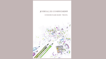 journal confinement Belin