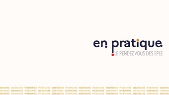 WEbinaire en pratique